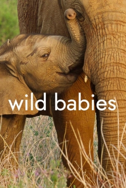 Wild Babies yesmovies