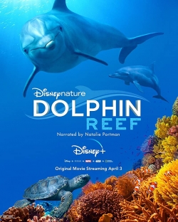 Dolphin Reef yesmovies