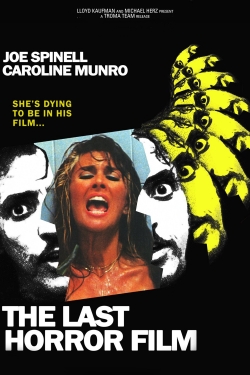 The Last Horror Film yesmovies