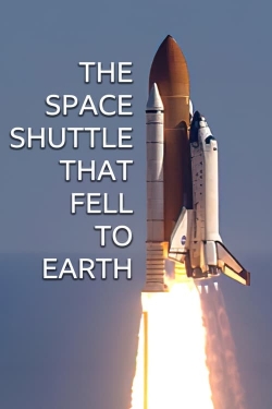 The Space Shuttle That Fell to Earth yesmovies