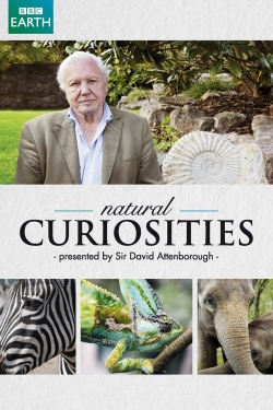 David Attenborough's Natural Curiosities yesmovies