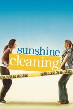 Sunshine Cleaning yesmovies