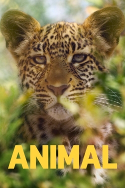 Animal yesmovies