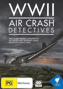 WWII Air Crash Detectives yesmovies