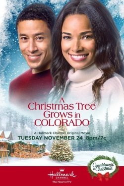 A Christmas Tree Grows in Colorado yesmovies