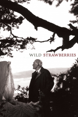 Wild Strawberries yesmovies