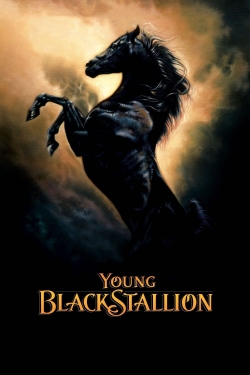 Young Black Stallion yesmovies