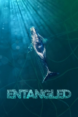 Entangled: The Race to Save Right Whales from Extinction yesmovies