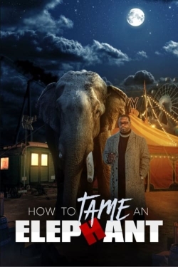 How To Tame An Elephant yesmovies