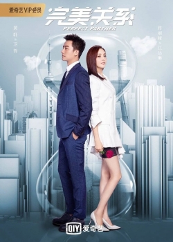 Perfect Partner yesmovies