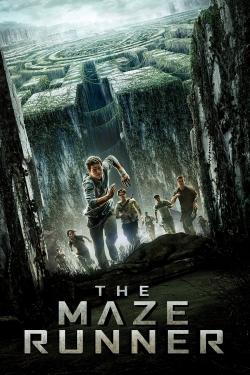 The Maze Runner yesmovies