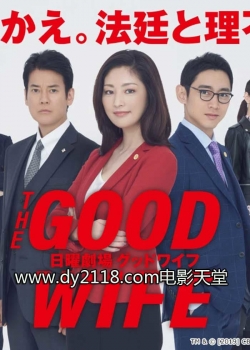 The Good Wife yesmovies