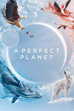 A Perfect Planet yesmovies