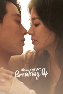 Now, We Are Breaking Up yesmovies