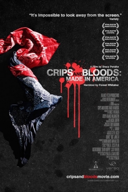 Crips and Bloods: Made in America yesmovies