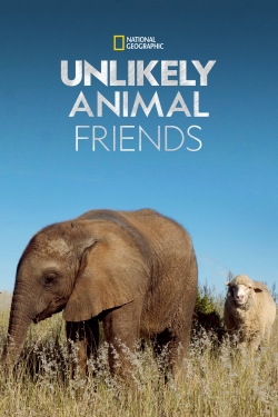 Unlikely Animal Friends yesmovies