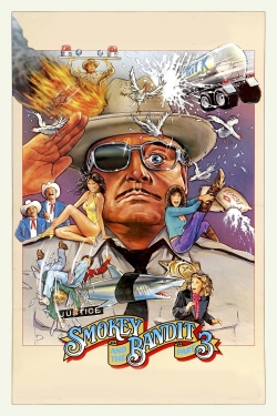 Smokey and the Bandit Part 3 yesmovies