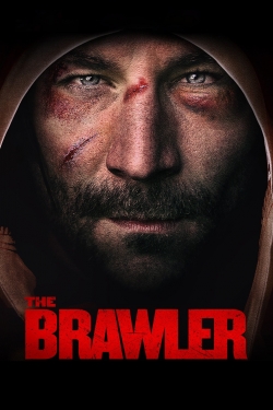 The Brawler yesmovies