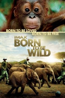 Born to Be Wild yesmovies