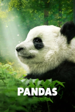 Pandas yesmovies