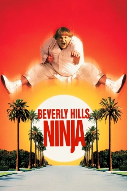 Beverly Hills Ninja yesmovies