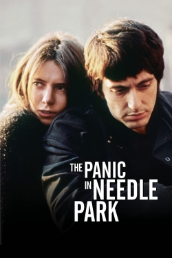 The Panic in Needle Park yesmovies