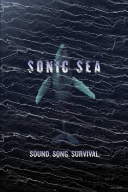 Sonic Sea yesmovies