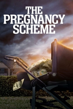 The Pregnancy Scheme yesmovies