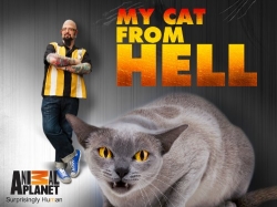 My Cat from Hell yesmovies