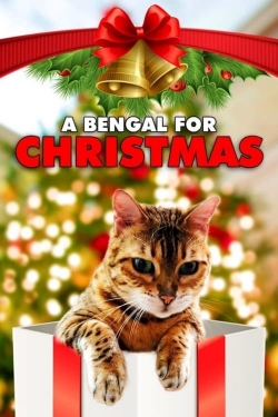 A Bengal for Christmas yesmovies