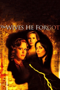 The Wives He Forgot yesmovies