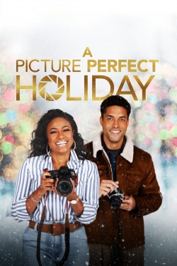 A Picture Perfect Holiday yesmovies