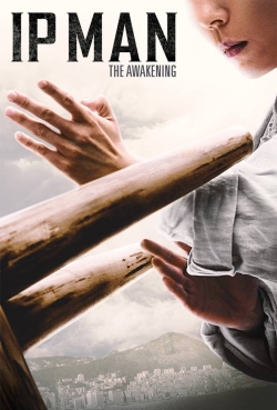 Ip Man: The Awakening yesmovies