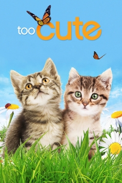 Too Cute yesmovies