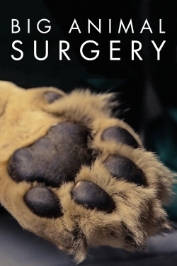 Big Animal Surgery yesmovies