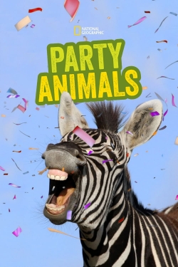 Party Animals yesmovies