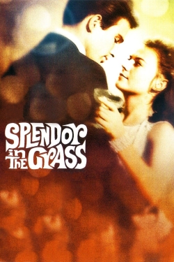 Splendor in the Grass yesmovies