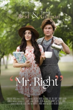 Mr. Right yesmovies