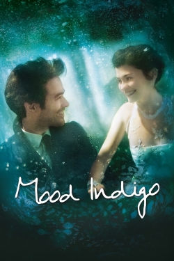 Mood Indigo yesmovies