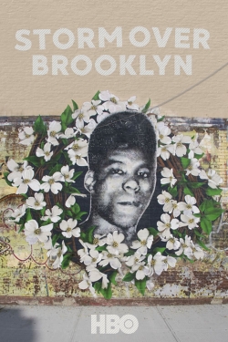 Yusuf Hawkins: Storm Over Brooklyn yesmovies