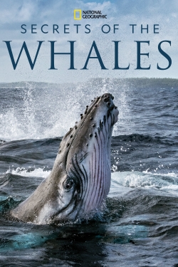 Secrets of the Whales yesmovies