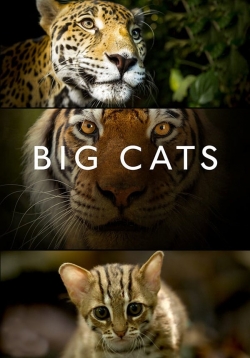 Big Cats yesmovies