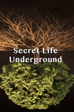 Secret Life Underground yesmovies