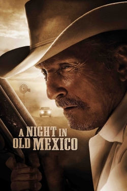 A Night in Old Mexico yesmovies