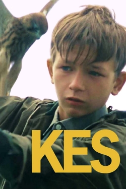 Kes yesmovies