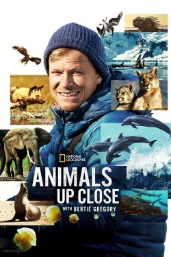 Animals Up Close with Bertie Gregory yesmovies