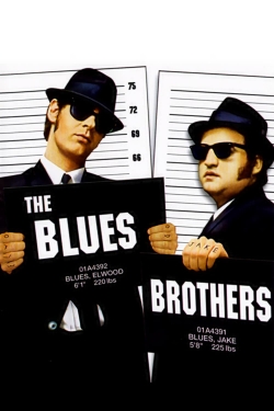 The Blues Brothers yesmovies