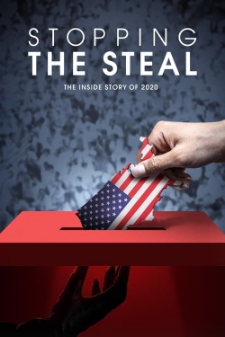 Stopping the Steal yesmovies