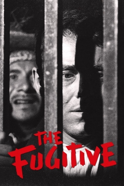 The Fugitive yesmovies