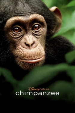 Chimpanzee yesmovies